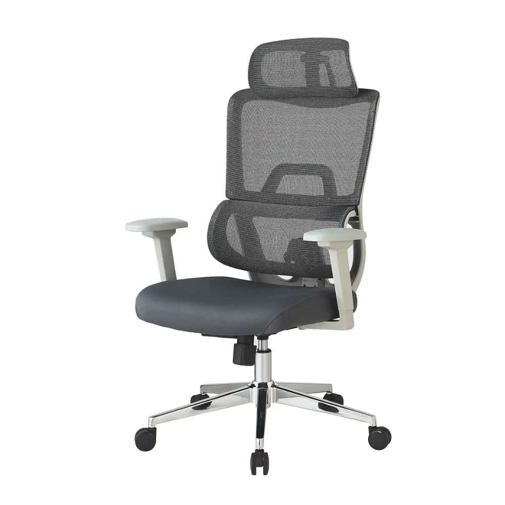 Ergonomic Office Chair T803R